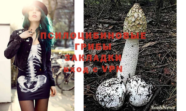 прущая мука Вяземский