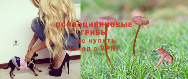 хмурый Армянск