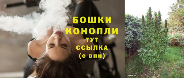круглые Арсеньев