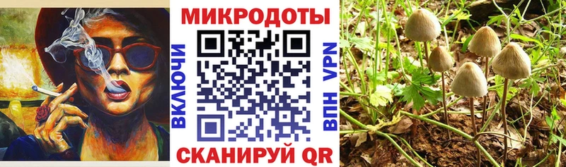 купить наркотик  Лебедянь  Псилоцибиновые грибы Cubensis 